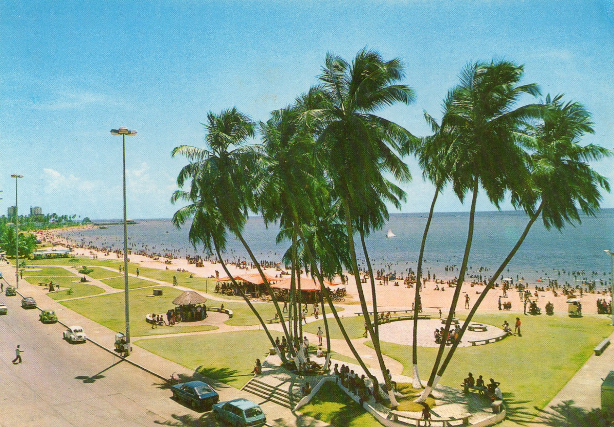 Cartão Postal: Os Famosos sete Coqueiros e a Linda Prai - Main Image