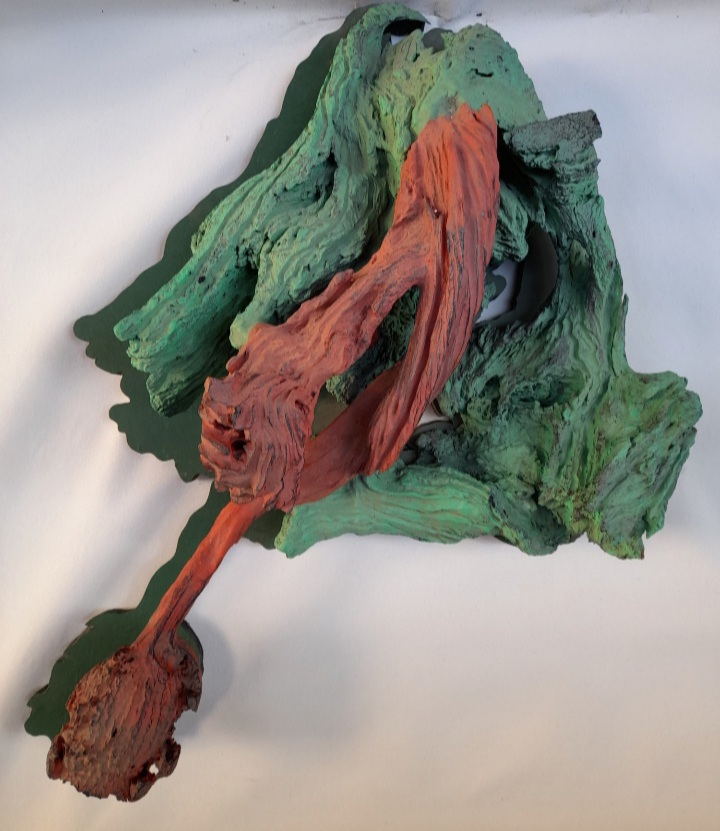 Frans Krajcberg Escultura Em Raiz De Madeira Med 10