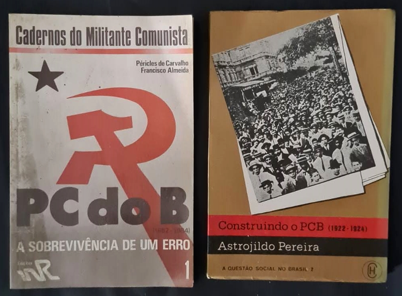 Fonte: https://d1o6h00a1h5k7q.cloudfront.net/imagens/img_g/22638/11014633.jpg