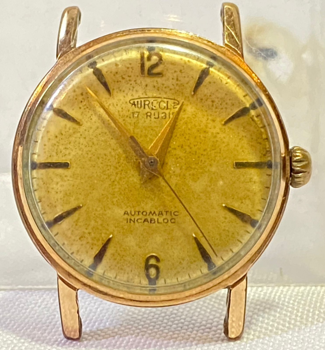 11684359.jpg