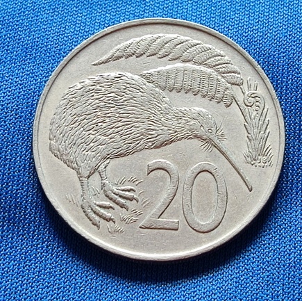 21952309.jpg