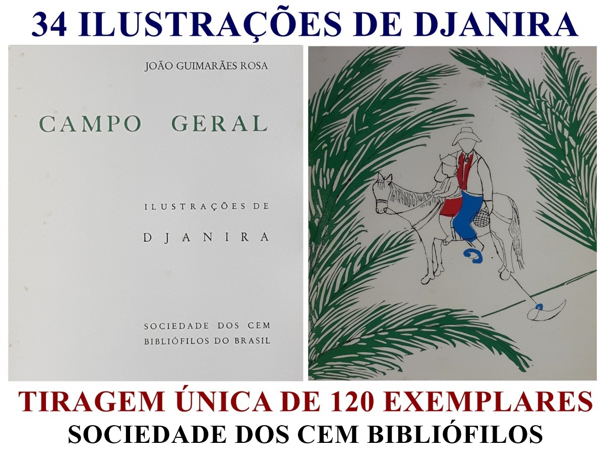 Total 80+ imagem campo geral joão guimarães rosa br.thptnganamst.edu.vn