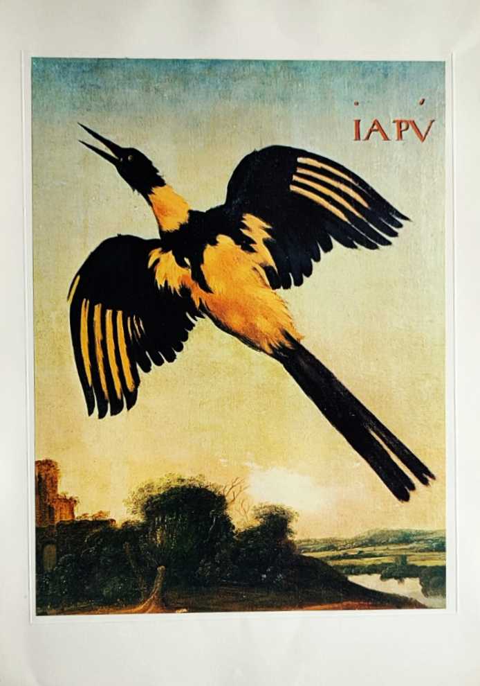 17646787.jpg