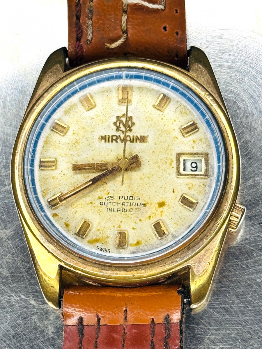 21961181.jpg