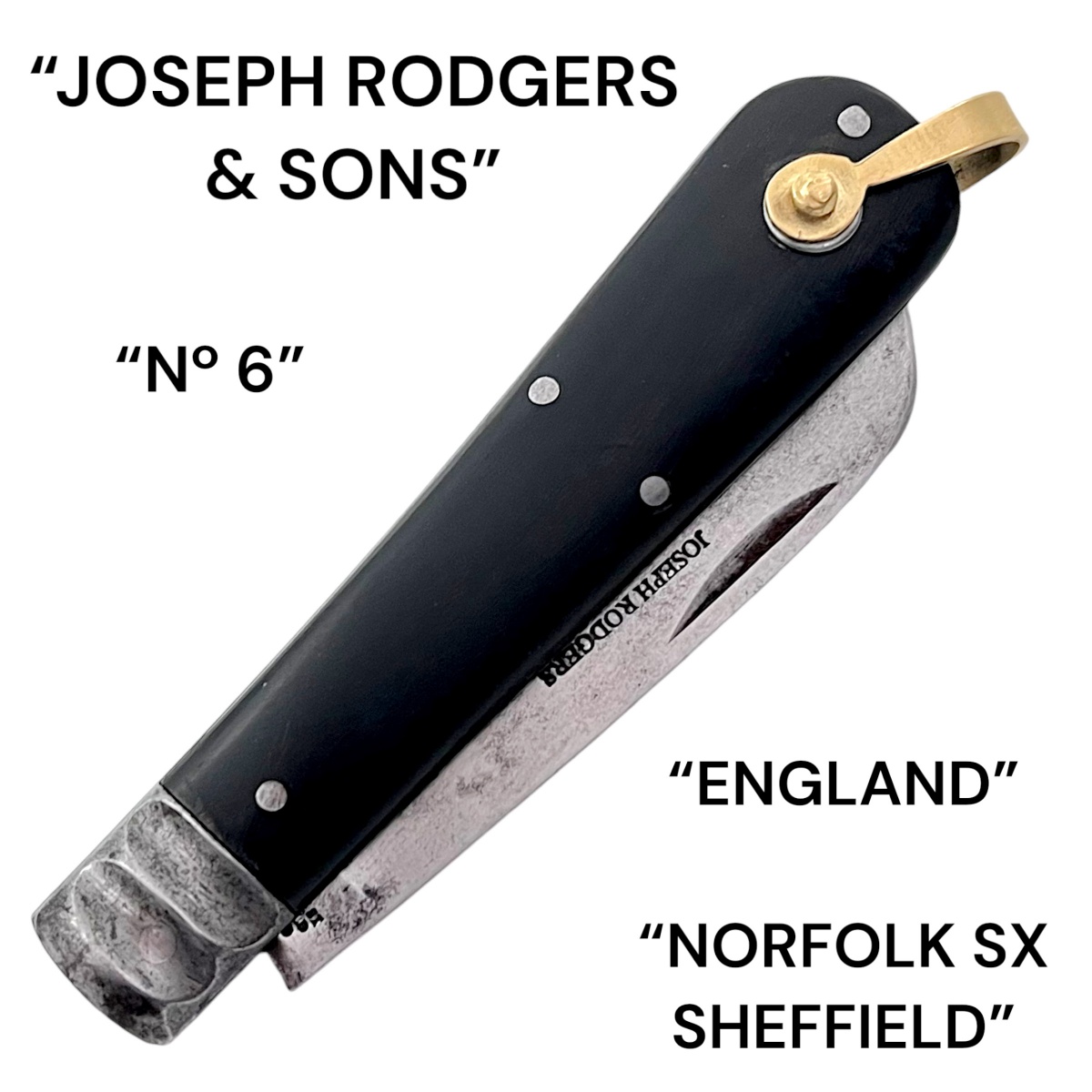 22838830.jpg