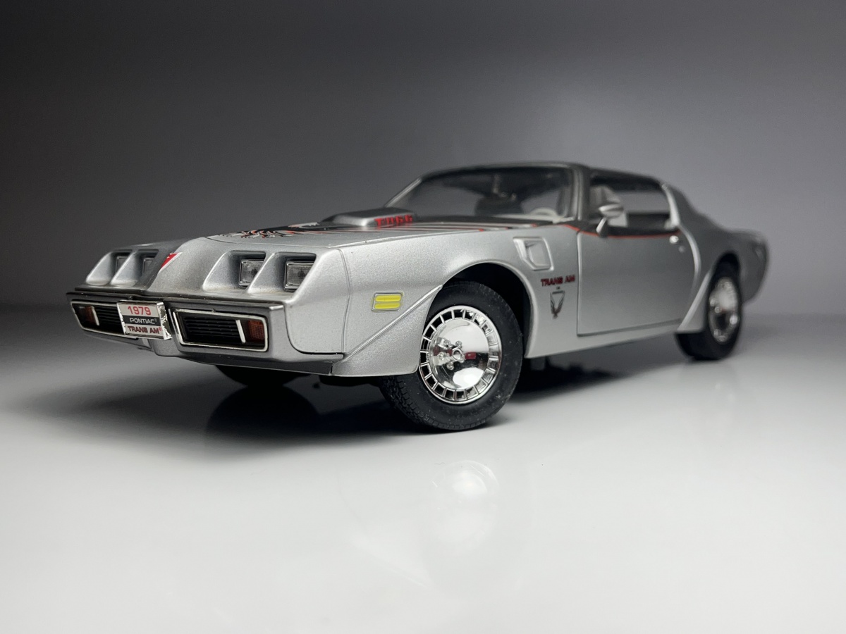 1979 Pontiac Firebird Trans Am Prata - Road Signature E