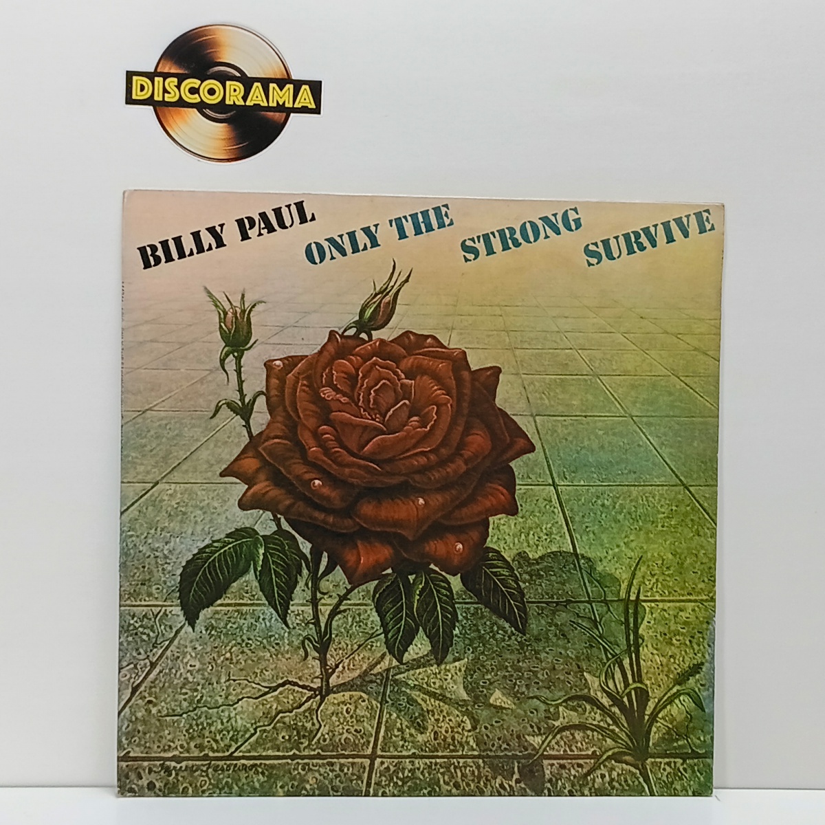 BILLY PAUL  -  ONLY THE STRONG SURVIVE  -  POSSUI ENCARTE   -  ASPECTO DO DISCO: EXCELENTE  /  ASPECTO DA CAPA: VG+  -  1978  -  LP DISCO DE VINIL (Verifique com atenção as imagens deste lote e entre em contato conosco ...