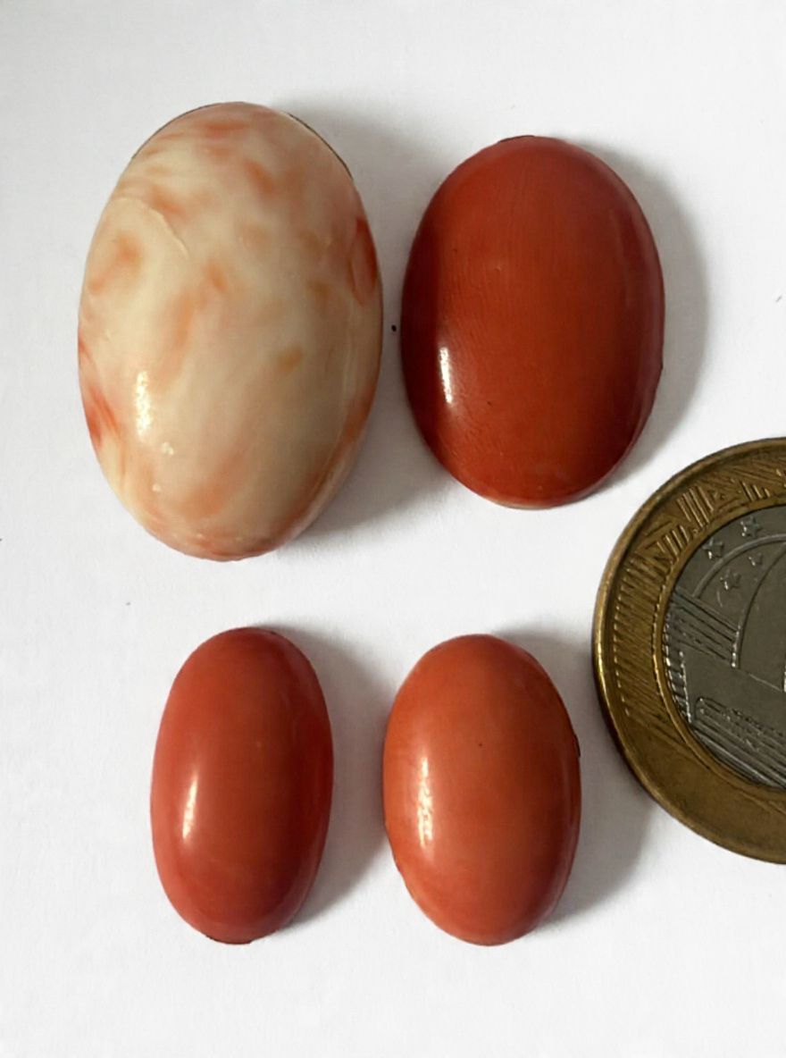 Lote contendo 4 grandes cabochões de Coral, século XIX, maior comprimento:3cm.