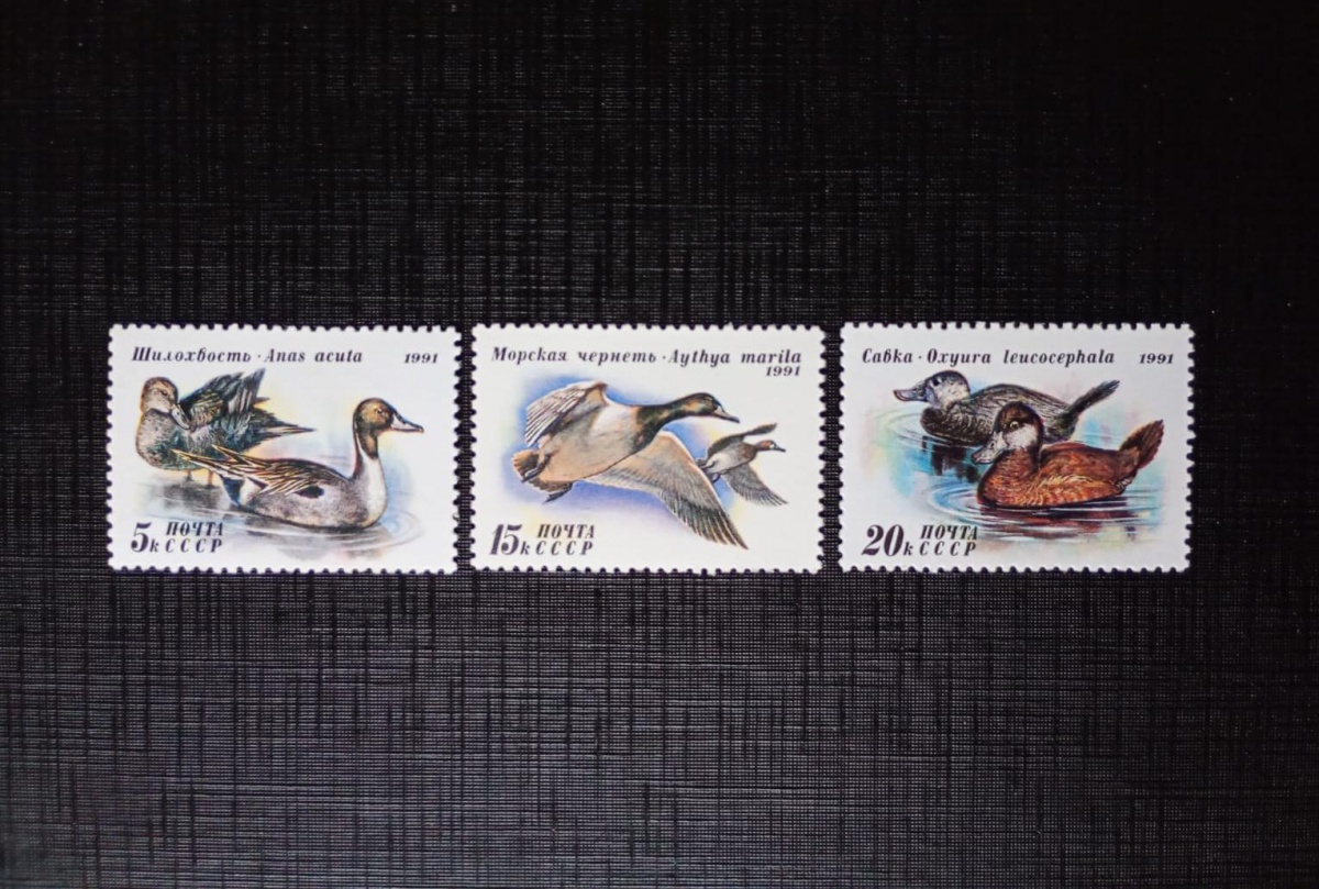 União Soviética 1.991 - Patos - série completa - Nova (N).