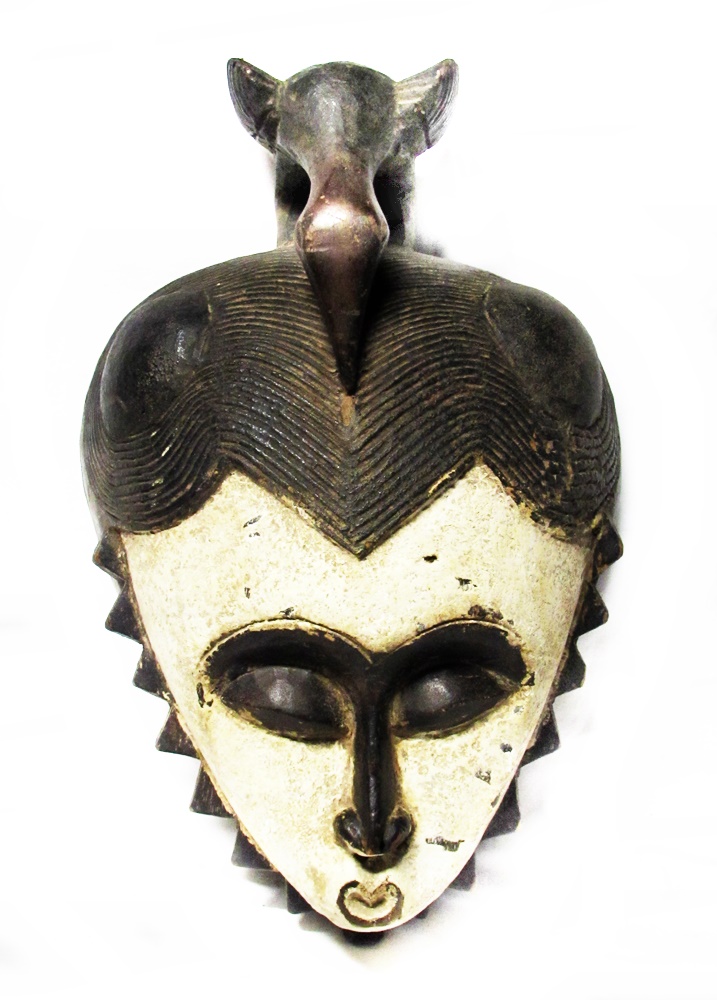 アポロヤママユ、アフリカオオイボタガ セット アポロヤママユ