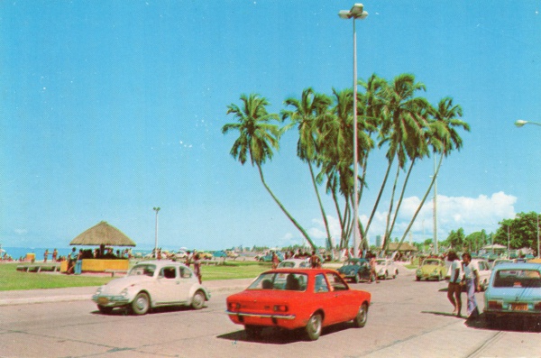 Cartão Postal: Os Sete Coqueiros na Praia de - Main Image