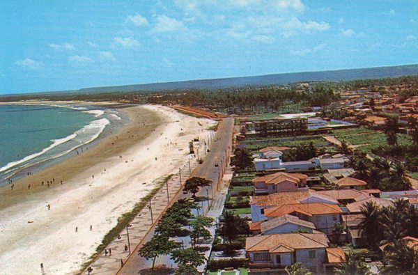 Cartão Postal: Os Sete Coqueiros na Praia de