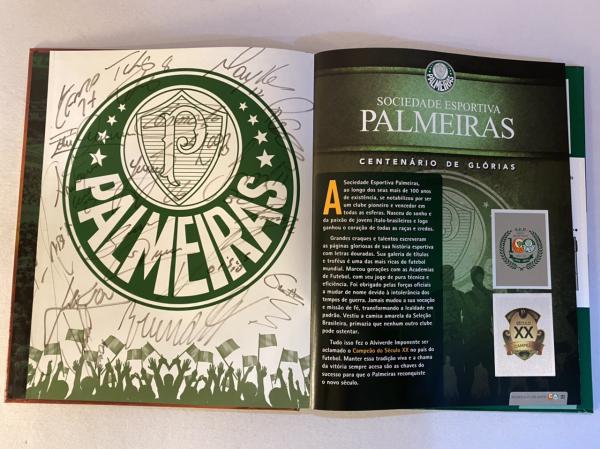 Palmeiras lança álbum de figurinhas especial em comemoração ao Centenário –  Palmeiras