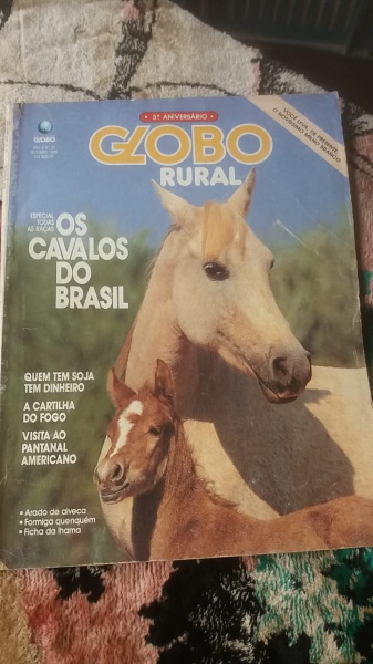 Hoje é dia do Pantanal - Revista Globo Rural