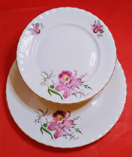 Belo e antigo jogo de bolo em porcelana STEATITA, flora