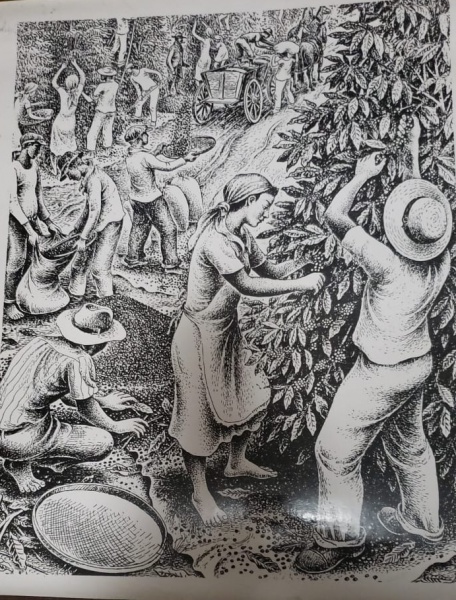 REPRODUÇÃO IMPRESSA PERCY LAU, MEDINDO 55CM LARGURA X 4