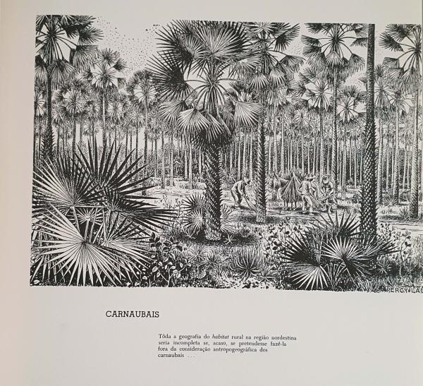 Livro Percy Lau Suas Ilustrações, 1969. Mais de 200 pág