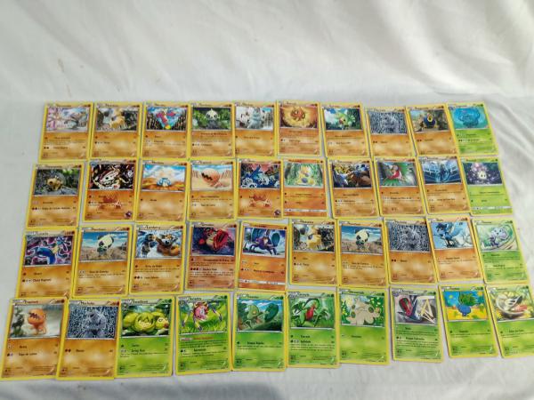 228 Cartas Pokémon dos tipos: Água, Fogo, Luta, Planta
