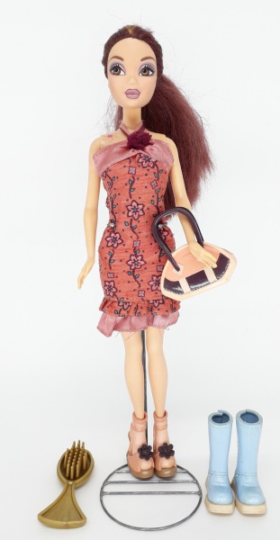 Boneca articulada com acessorios ever after high ashlynn ella mattel