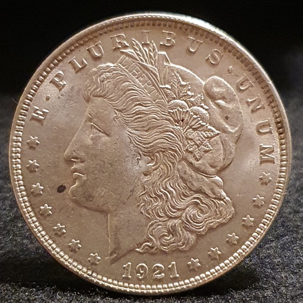 Moeda do EUA 1 Dólar 1921 Prata 0.900 Peso26,7