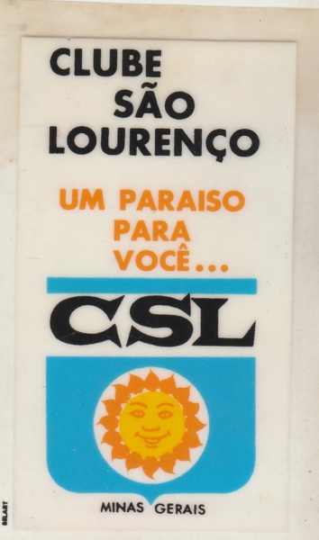 Collecione Leilões