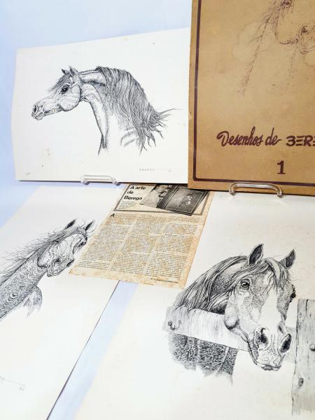 Berega Website Oficial - Obras do Autor - Cavalos Crioulos