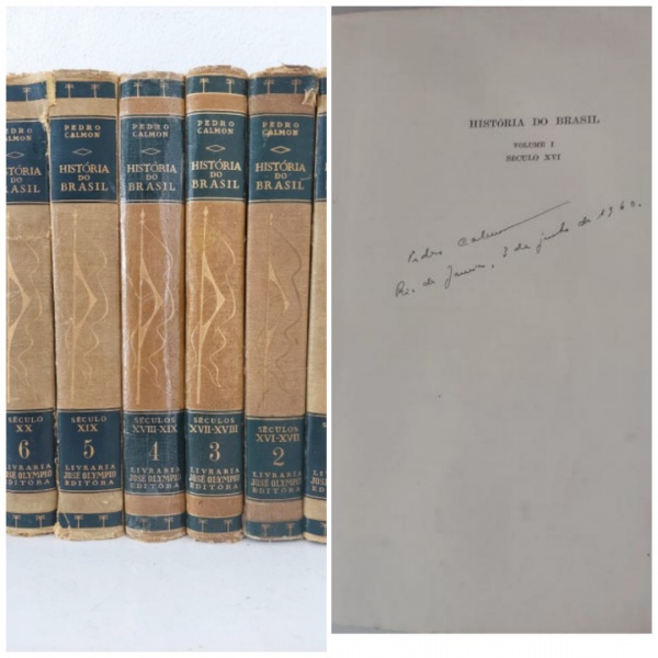 LOTE DE LIVROS: AS PLANTAS QUE CURAM VIDA NATURALISTA AO ALCANCE