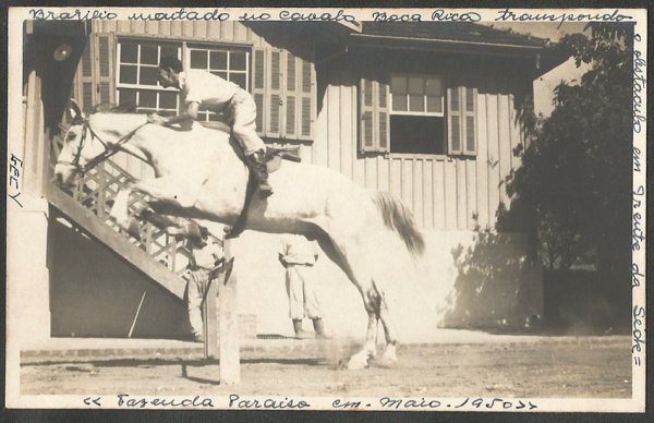 Jóquei Em Seu Cavalo Que Pula Sobre Um Obstáculo Foto de Stock