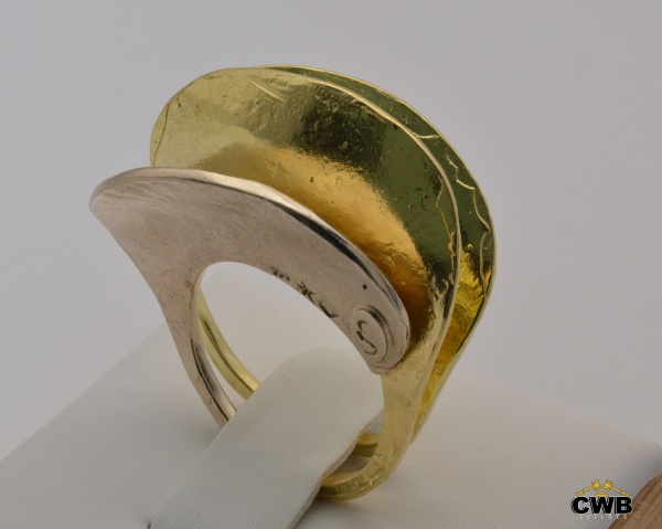 Anel Ouro Amarelo e Ouro Nobre 18K Pétalas