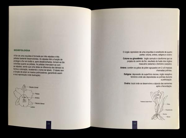 livro - Orquídeas: Manual de Cultivo: 506 fotos de espé