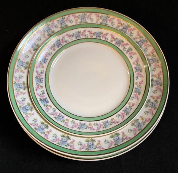 56 pçs/set Famosa Marca de Luxo Projeto Osso China Porcelana Jogo De Jantar  De Porcelana Tigela Pote Prato Frete Grátis