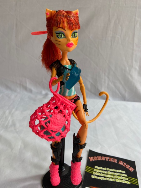 Boneca Monster High Frankie Stein com Acessórios - Mattel
