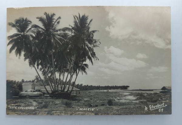 Maceió Alagoas Coqueiros Coqueiros Maceio 2025