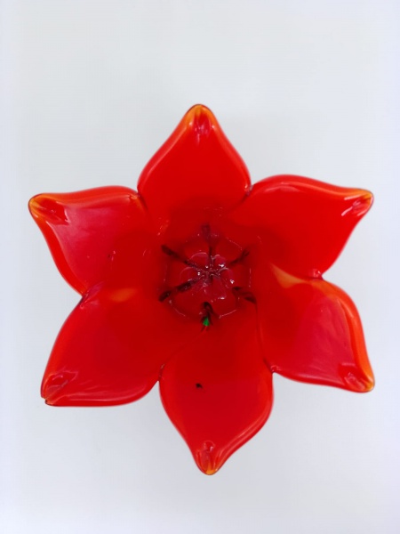 ITALY/ SÉCULO XX - Lote contendo 02 (duas) espetaculares, raríssimas e antigas flores vermelhas, confeccionadas em murano italiano. Dimensão: 8 cm de altura