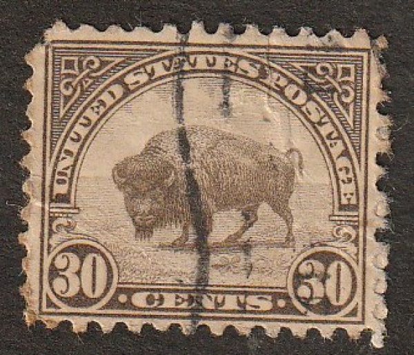 STAMP UNITED STATES POSTAGE 30 CENTS BUFFALO ANO 1923