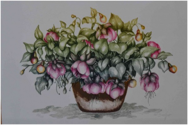 Wilma Sedys - Cesta com Flores - Litografia 36/100 - 25x35 - Sem moldura . Coleção Graphos Arte.