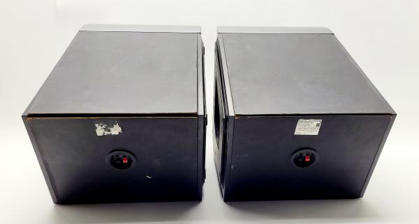 SONY - Lote com 2 Caixas de som SONY X-TRANCE PRO ZX80D/200W peças