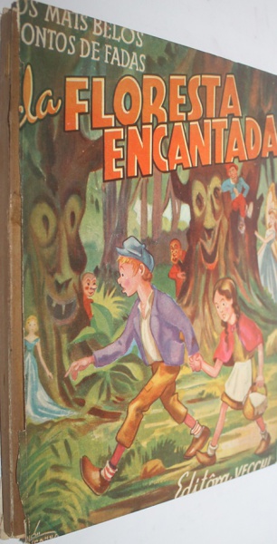 A capa de um antigo livro na floresta encantada