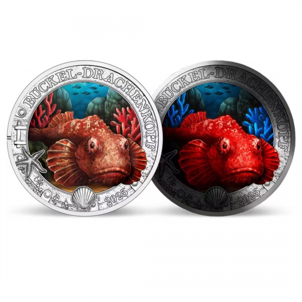 Moeda da Áustria - 3 euro - 2025 - Cabeça de corcunda / Série