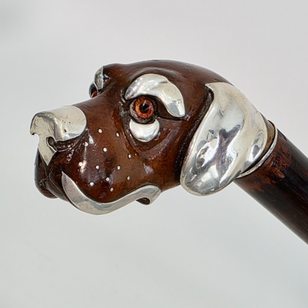 Rara bengala alemã com castão em prata e madeira esculpida na forma de cabeça de cão "Loyal Labrador", contraste 800, circa 1930, comp. do castão 8,5 cm, alt. total 78 cm, peça rara e cobiçada por colecionadores com alta cotação internacional, bengala similar em site especializado vendida por 600 libras esterlinas, cerca de R$ 4500,00 vide foto adicional, segue link para conferência https://www.bonhams.com/auction/15839/lot/94/a-1930s-german-silver-dog-walking-cane-800-standard/