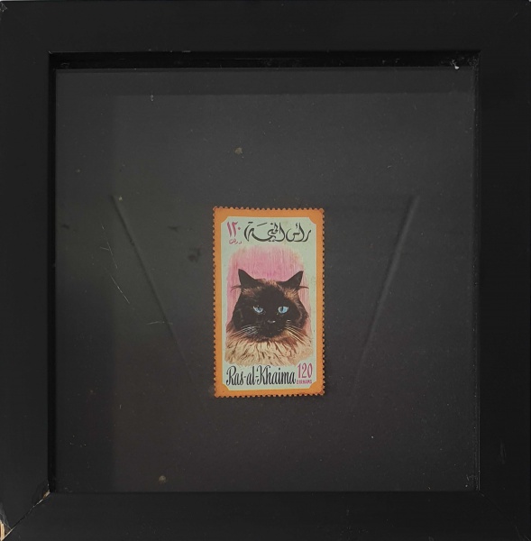 Selo Árabe Antigo - 120 Dirhams - 4x6cm (17x17cm com moldura)