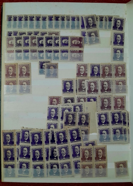 Brasil 1956/63 - (VEJA O VÍDEO). Classificar alemão com 48 páginas em ótimo estado de conservação com imenso estoque de selos da série Bisneta. Todos os valores apresentados em todas as cores e tonalidades classificadas e demais ainda a serem estudadas. São milhares e milhares de selos, pares quadras e múltiplos, tudo sem carimbo com goma. Alguns pontos de ferrugem podem ser encontrados em alguns selos. Atenção especial ao selo 2,50 Carmim Dom João VI que aparece sem carimbo (1 selo) no lote! Só este selos marca de catálogo R$ 4.500,00. O valor de catálogo para todos os selos é estimado e garantido acima de R$ 25.000,00. Oportunidade única de um estoque coleção excelente para estudo e revenda aqui sendo oferecido por preço inicial abaixo de 2% do catálogo!