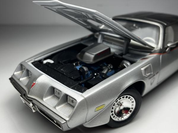 1979 Pontiac Firebird Trans Am Prata - Road Signature E