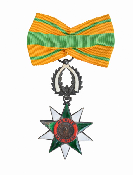 Joias . Cruz de São Jorge - condecoração instituída pela Rússia foto 7