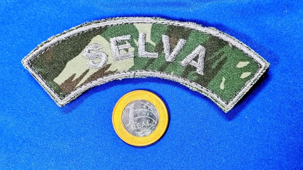 Arte . U.S. ARMY PATCHE - VIETNAM ERA foto 4
