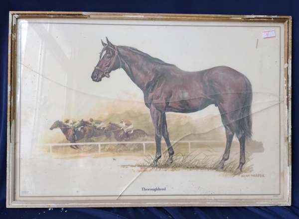 Arte . 29 - ESTAMPA/GRAVURA  - MOTIVO EQUESTRE - 66 X 85  CM - foto 4