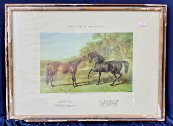 Arte . 4 - ESTAMPA - THOROUGBRED -  43 X 28 CM - COPYRIGHT 197 foto 3
