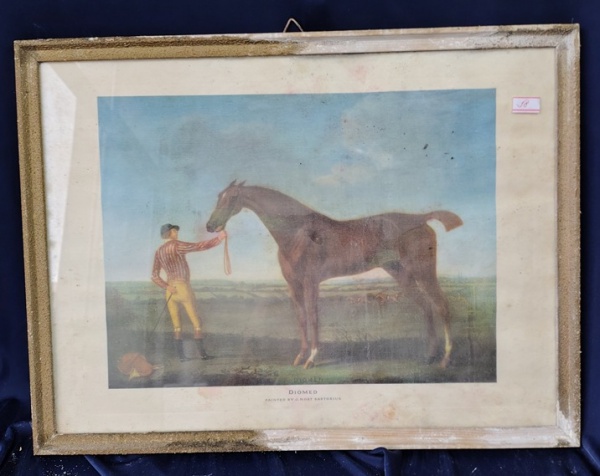 Arte . 5 - ESTAMPA (?) - TÉCNICA NÃO IDENTIFICADA - GARANHÃO - foto 7