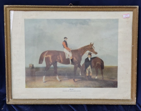 Arte . 29 - ESTAMPA/GRAVURA  - MOTIVO EQUESTRE - 66 X 85  CM - foto 7