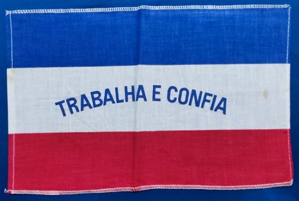 Arte . PARANÁ - BANDEIRA PEQUENA - 28 X 18 CM - ALGODÃO GOMADO foto 1